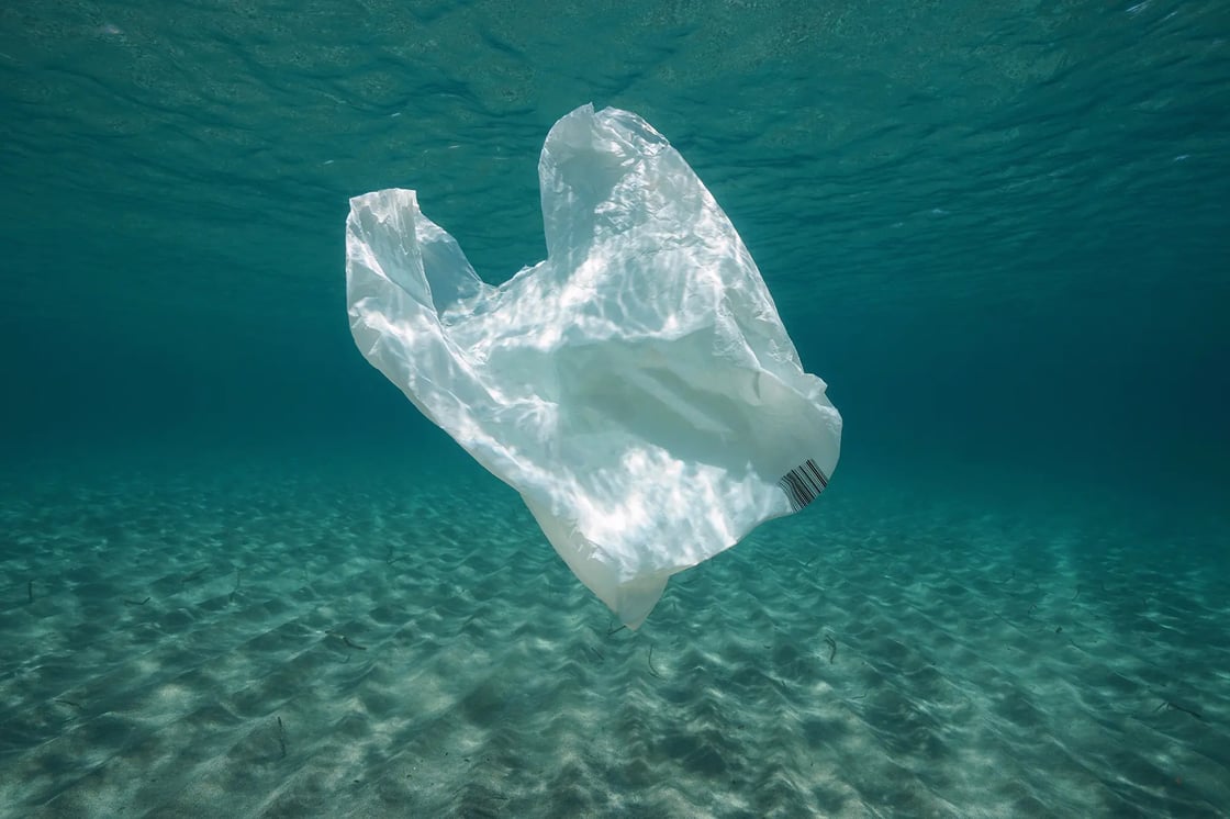 a plastic bag floating in the ocean 
