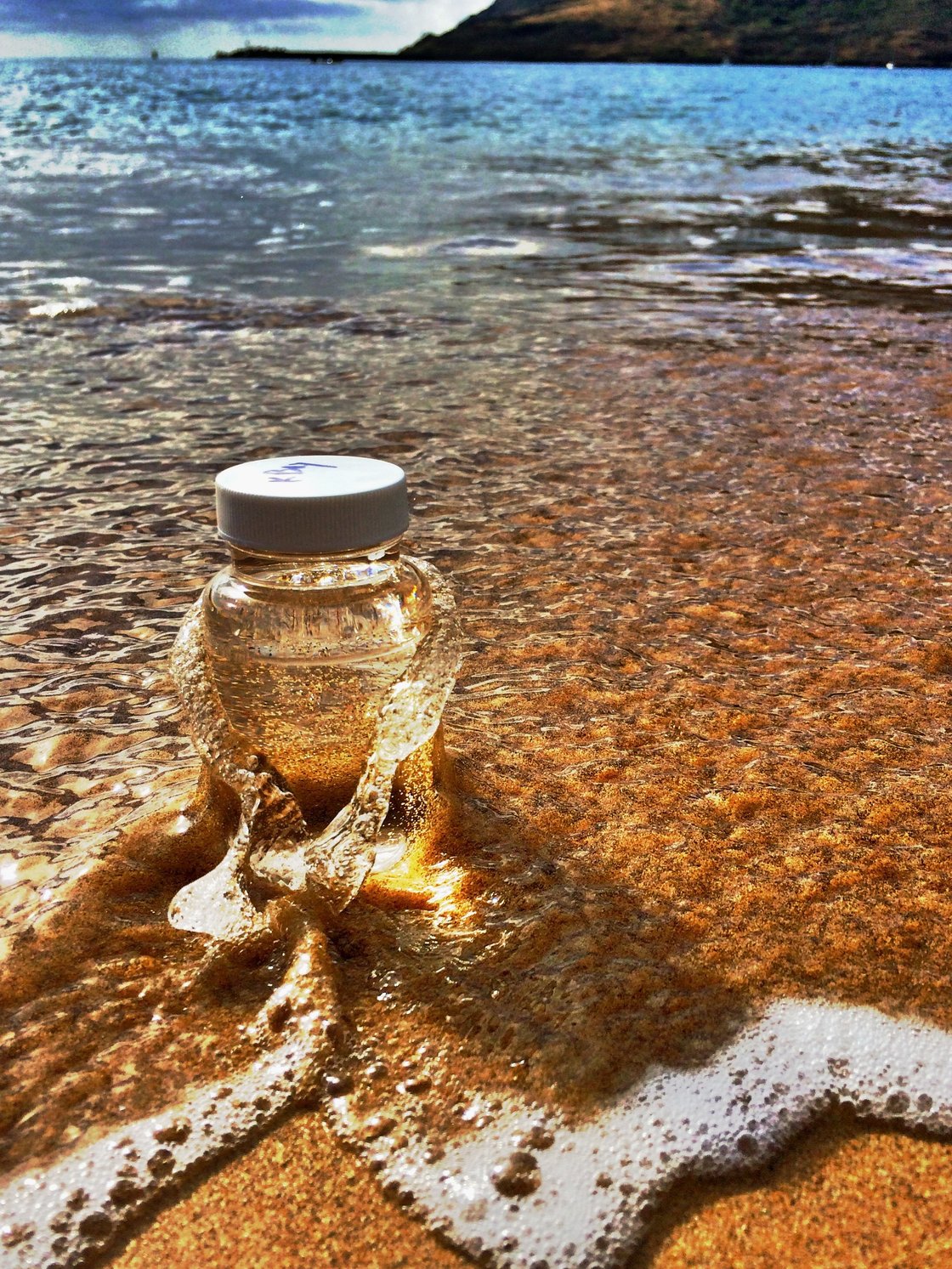 BWTF bottle in ocean