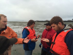 WA Coastal Program Manager Casey Dennehy looks at a Ghost Shrimp that have been causing big challenges to shellfish growing.