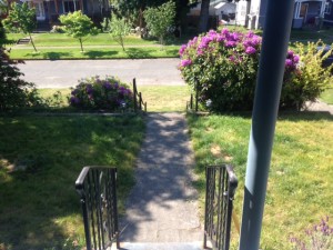 Rain Garden 2