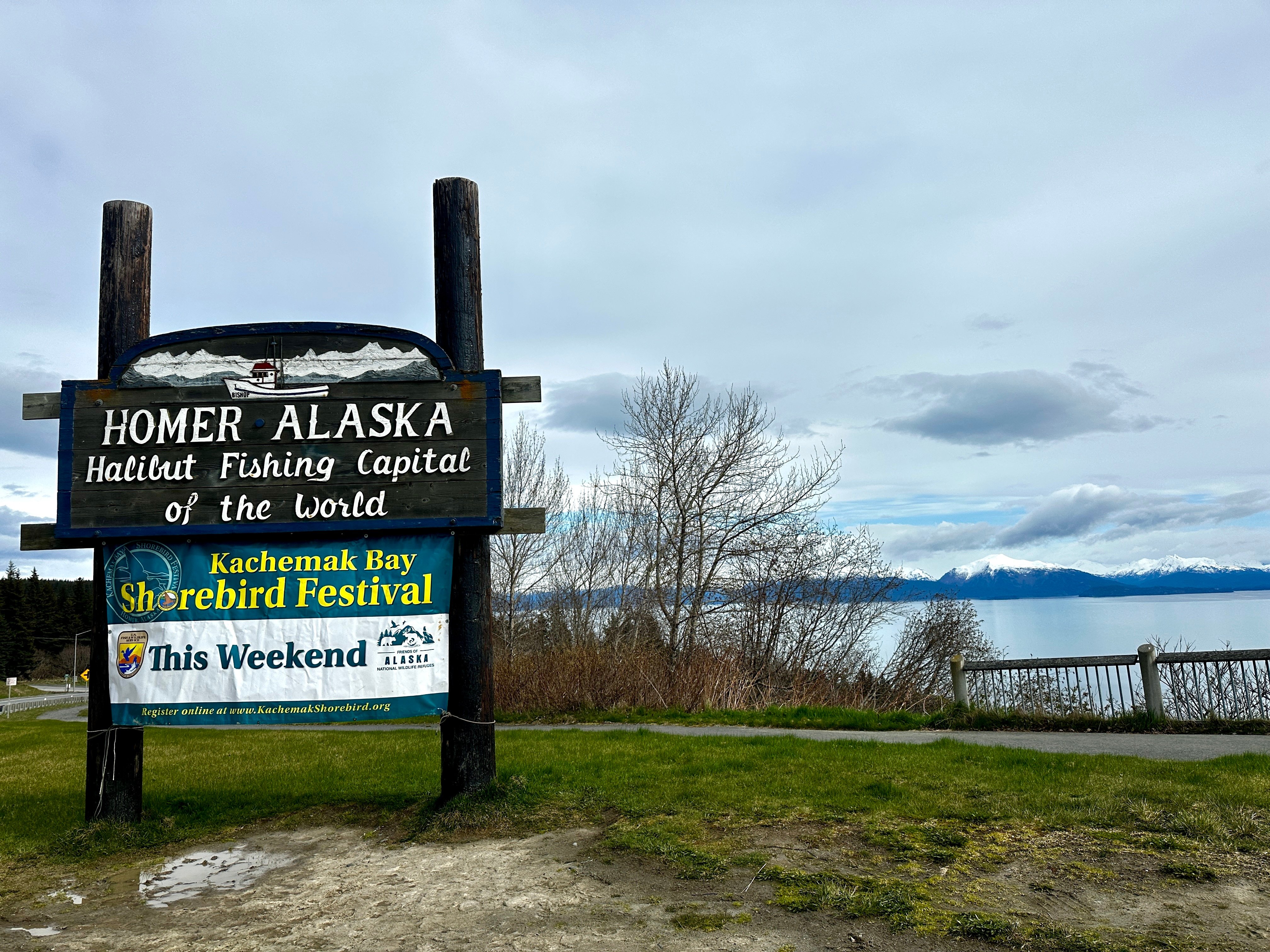 A banner advertising the Shorebird Festival with the ocean in the background