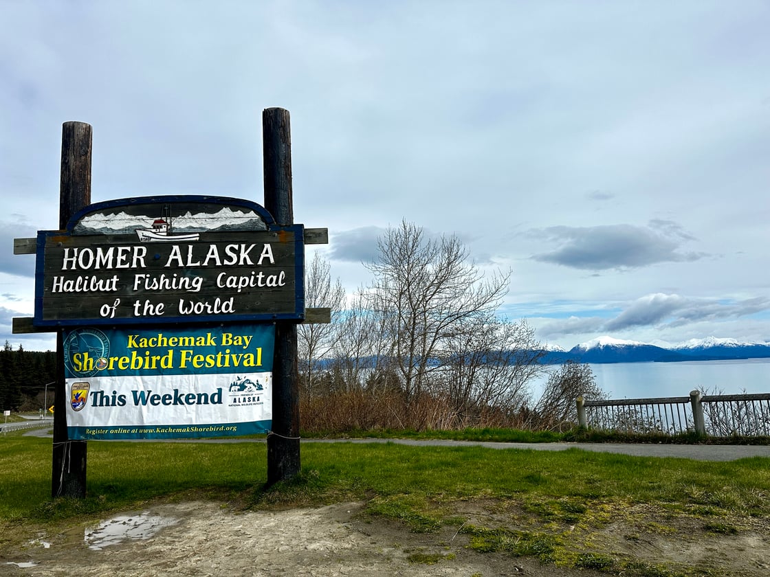 A banner advertising the Shorebird Festival with the ocean in the background