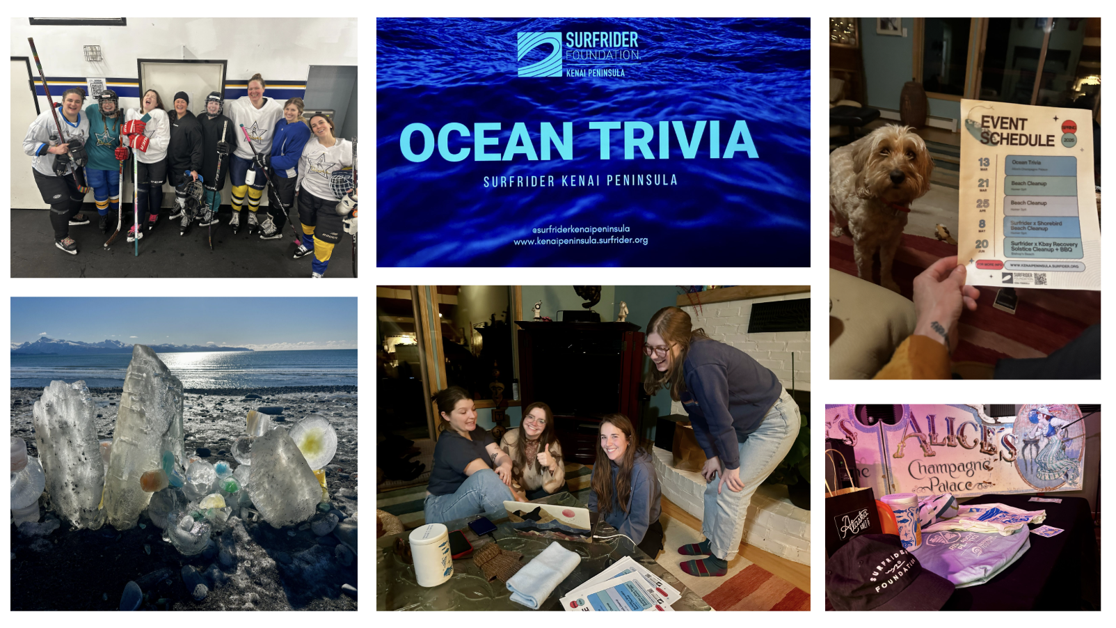 A montage of pics of the kenai peninsula chapter