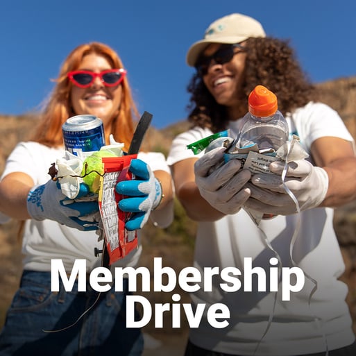 Membership-Drive_Social-3