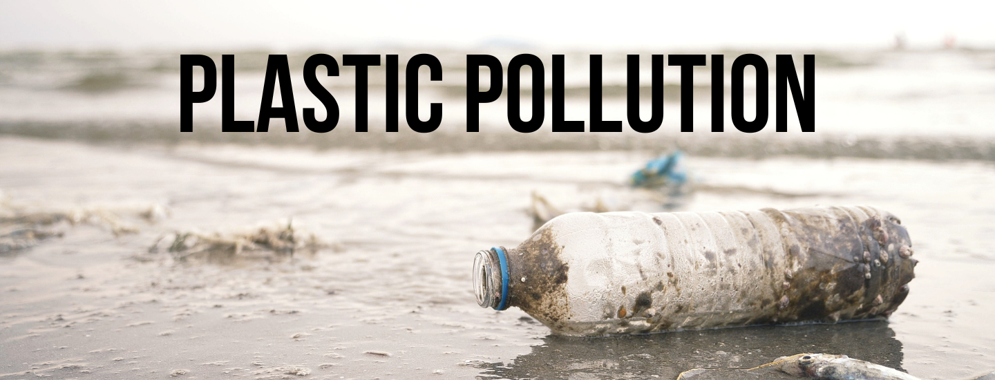 A sepia toned image of an empty plastic waterbottle on a beach with breaking waves in the background and the words Plastic Pollution in bold