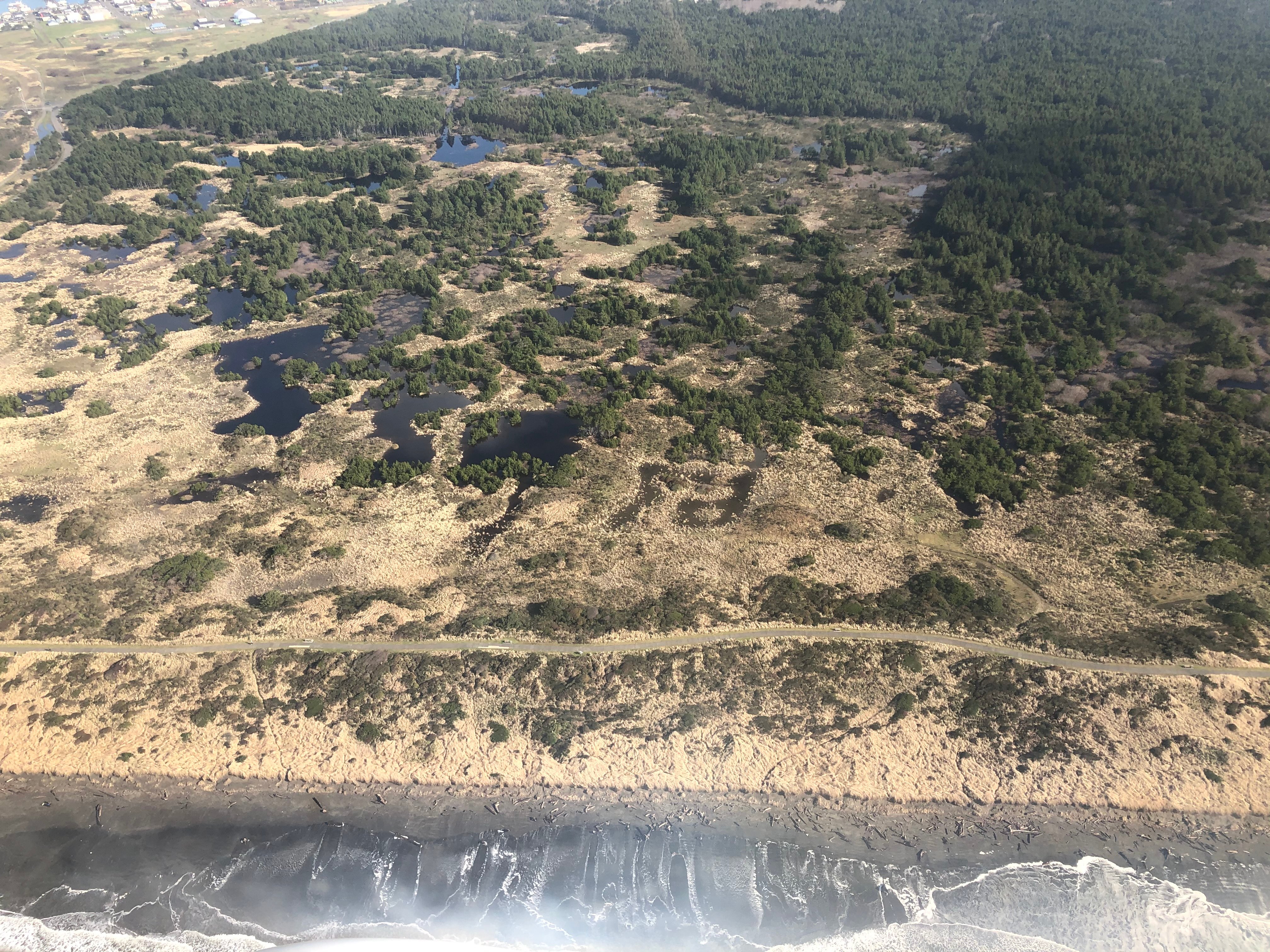 An ariel view of the coastal wetland mosaic in Westport Light State Park