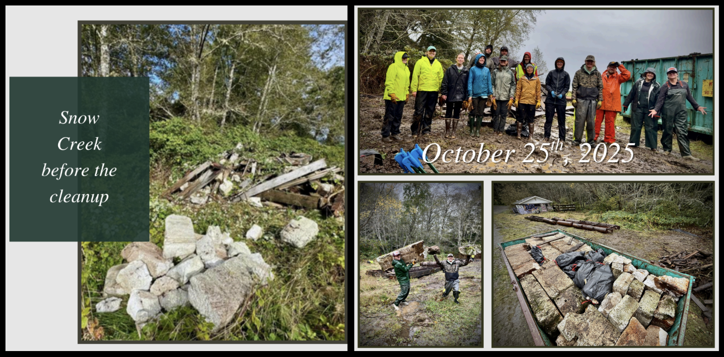 Photo montage of a cleanup - the before picture with piles of wood and foam from an old floating dock, to images of a dumpster full of debris and volunteers posing in the rain