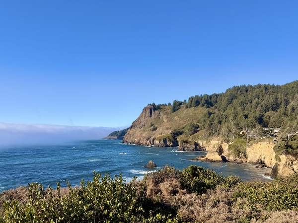 A view of the rocky bluff of the Oregon Coast on a blue sky day