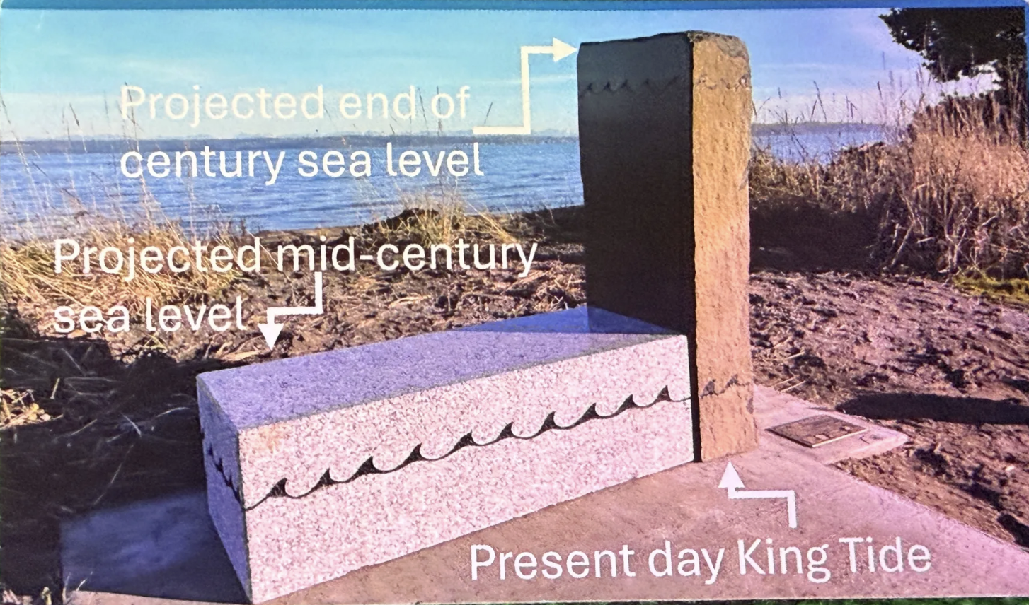 A picture of a sea level rise art installation depicting where future tides will be with a beach in the background