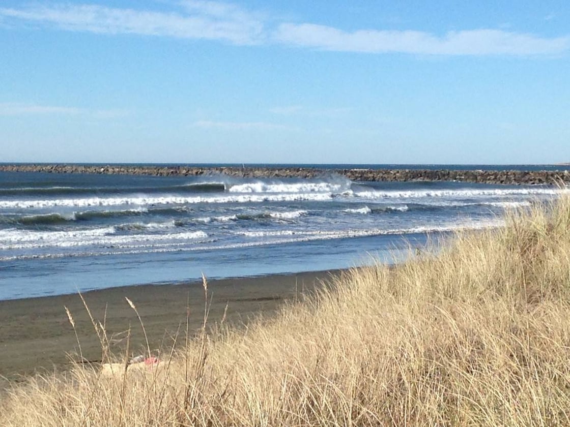View of a calm sunny day with dune grass in the foreground and a rocky jetty in the background