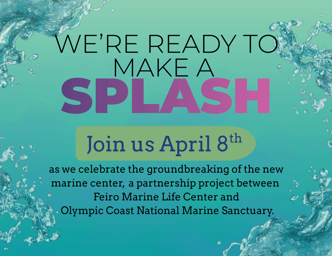 A watery background with the words "We're ready to make a splash April 8th" to celebrate the groundbreaking of the new OCNMS Marine Center