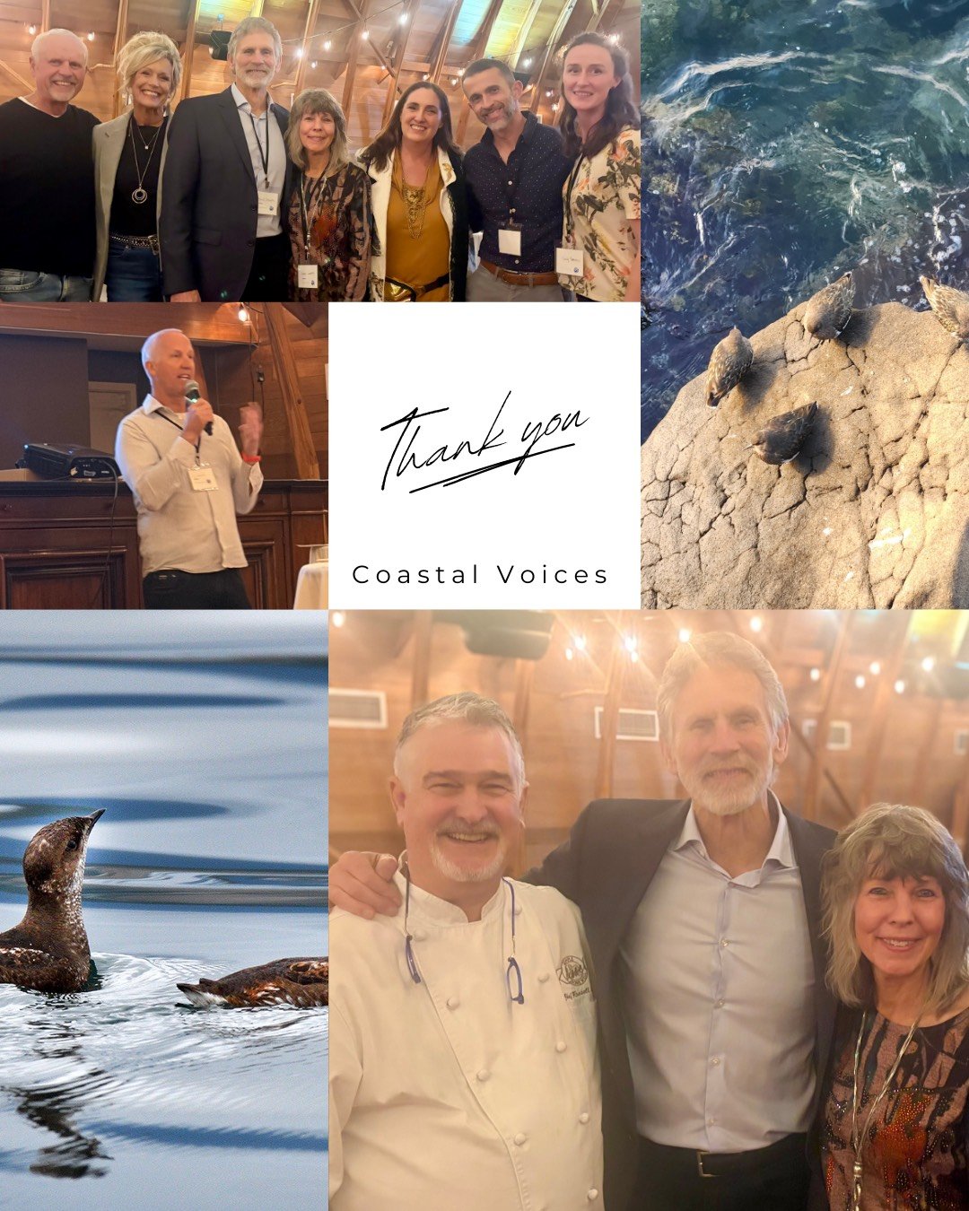 A collage of images of seabirds and people posing for pictures during the Coastal Voices event celebrating Arnold and Debbie Schouten