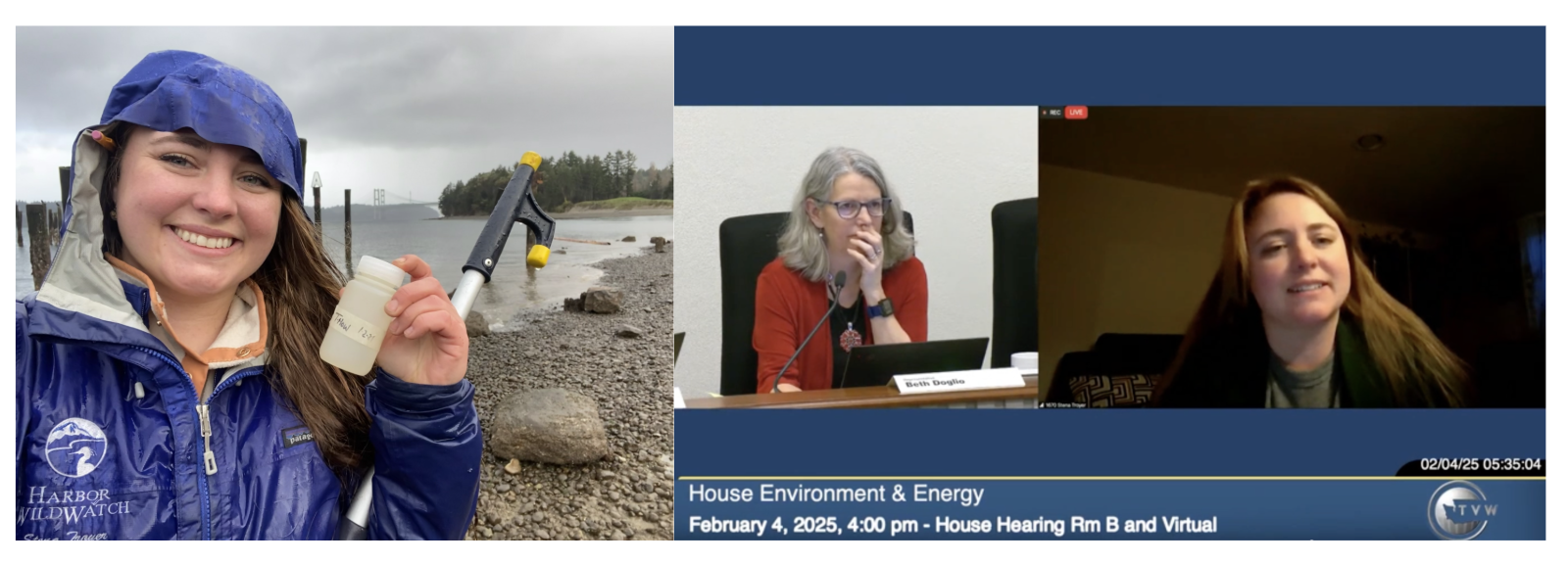 BWTF Coordinator Stena in the wild collecting a sample, then screenshot of her testifying for Sewage Spill Right to know bill in  the WA House