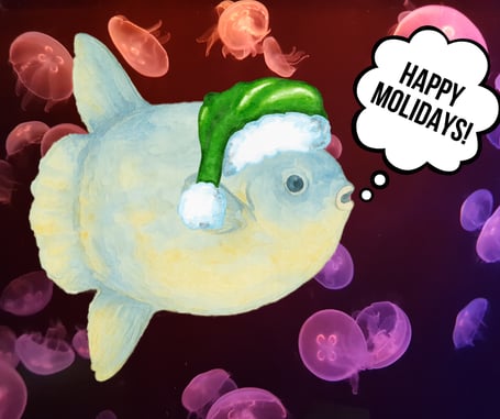 Graphic of an ocean sunfish in a green santa hat with a word bubble that reads "Happy Molidays" with pink moon jellyfish in the background