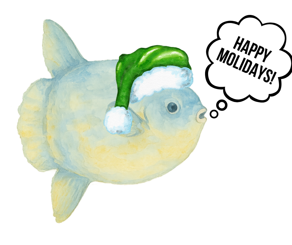 Graphic of an ocean sunfish in a green santa hat with a word bubble that reads "Happy Molidays"