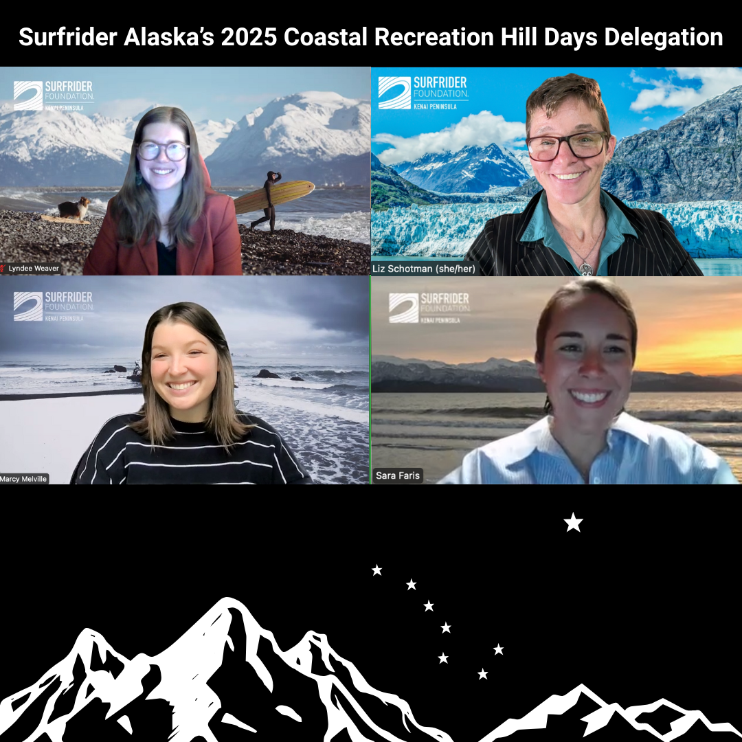 A screenshot of 4 Zoom room tiles with our Alaska Hill Day delegation, with a simple black &amp; wht egraphic of mountains and stars at the bottom