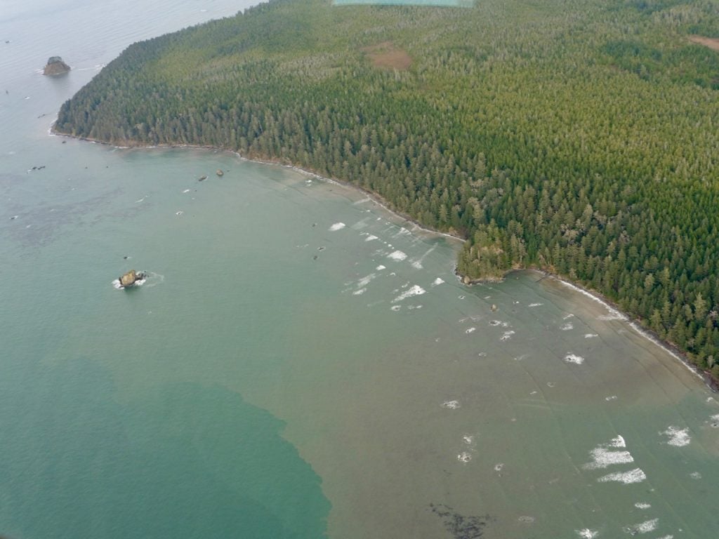 Bluegreen waters press right up to the treeline during a king tide on the Olympia Coast