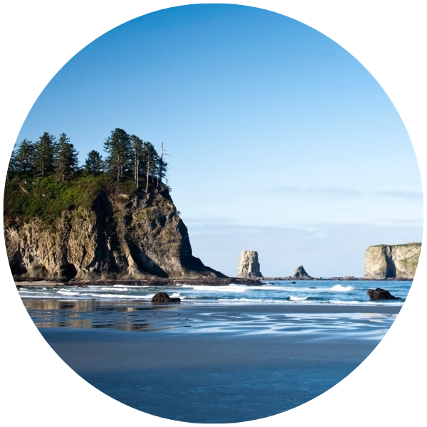 A sunny day on an Olympic Coast beach, with pine topped rocks just offshore